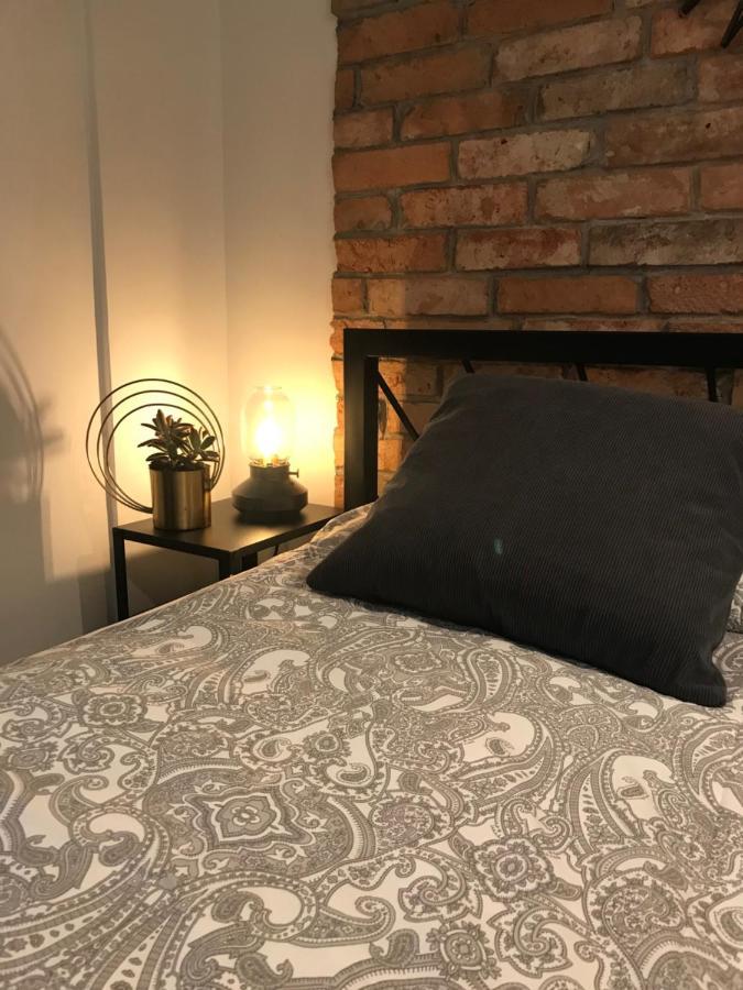 Apartament Ko-Piernika W Toruniu, W Sercu Torunskiej Starowki 外观 照片