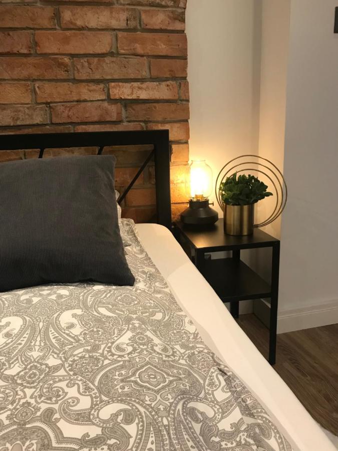Apartament Ko-Piernika W Toruniu, W Sercu Torunskiej Starowki 外观 照片